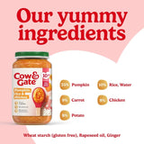 Cow & Gate pumpkin chicken rice baby food meal jar 200g - British product