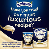 Ambrosia Devon custard can, UK version