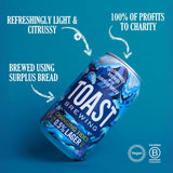 Toast Ale Changing Tides 0.5% lager 330ml (British brand)
