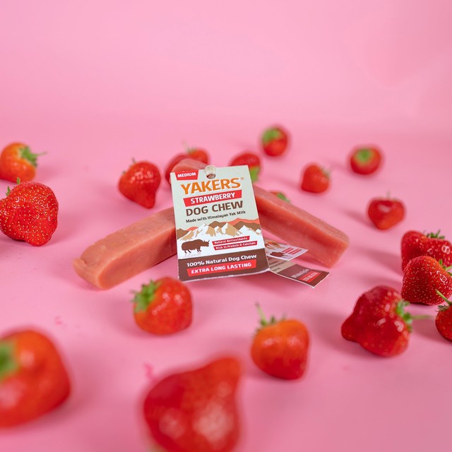 Yakers strawberry medium dog chew, UK version
