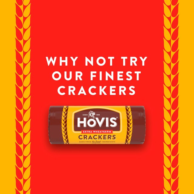 Hovis digestive biscuits pack of 21 (British brand)