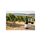 La Miranda Garnacha wine 75cl, UK version