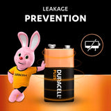 Duracell Plus 9V alkaline batteries 2-pack - British product