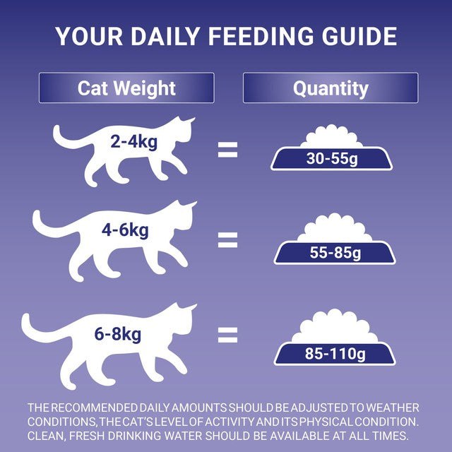 Purina One sensitive turkey dry cat food 750g, imported from the UK