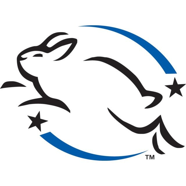 Astonish All in 1 dishwasher tablets - British product