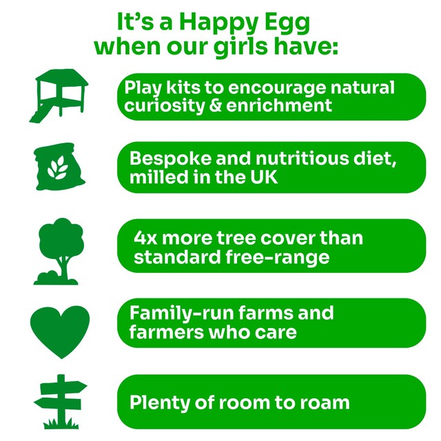 Happy Eggs Large Free Range Eggs 10 pack, UK version