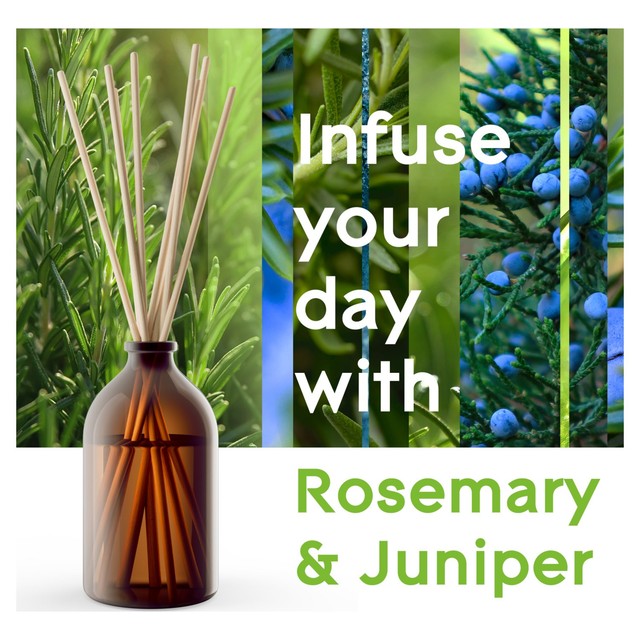 Glade Reed Diffuser Refreshing Energy 80ml, UK version