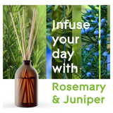 Glade Reed Diffuser Refreshing Energy 80ml, UK version