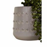 M&S String of Pearls artificial succulent in bobble ceramic pot (British brand)