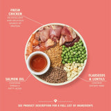 Lily's Kitchen chicken and salmon puppy dry dog food 7kg, UK version