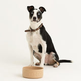 Mason Cash lettered dog bowl 18cm, imported from the UK