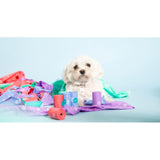 Adios compostable dog poo bags Rainbow - British product
