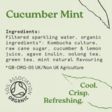 HOLOS Sparkling Tea Cucumber Mint 250ml - British product