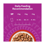 Whiskas wet cat food pouches meaty meals in gravy 12 x 85g (British brand)