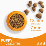 Iams puppy food large breed with fresh chicken 2kg, UK version