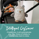 Tommee Tippee Ollie The Owl baby sleep aid (British brand)