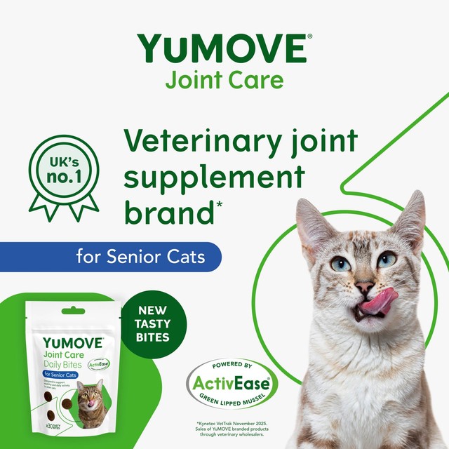 YuMOVE joint support daily bites for senior cats - British product