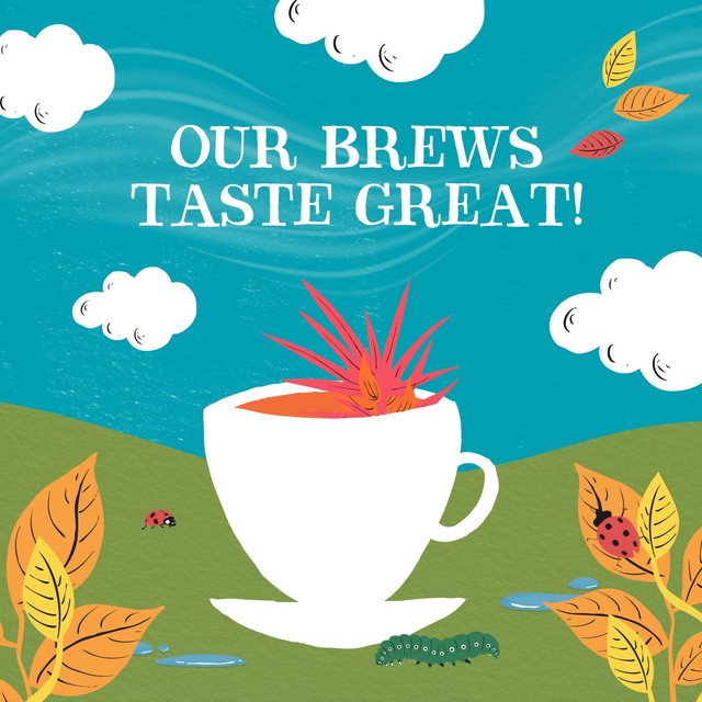 Clipper Organic Redbush Tea Bags 80 Bags - British product