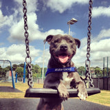EzyDog Quick Fit Blue dog harness Large - British product