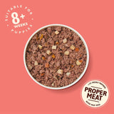 Lily's Kitchen puppy recipe with chicken wet dog food 150g, UK version