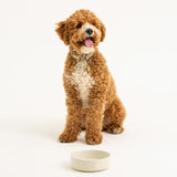 Mason Cash cream dog bowl 15cm, imported from the UK