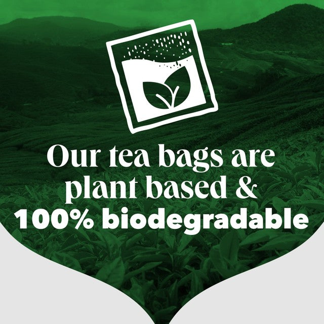 PG Tips decaf plant based biodegradable tea bags, imported from the UK