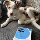 Itch flea and tick treatment for small dogs 2-10kg (British brand)