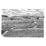 Lafite Rothschild Legende Bordeaux red wine 75cl, UK version