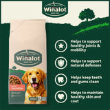 Winalot adult salmon dry dog food (British brand)