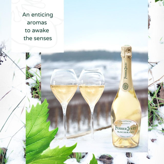 Perrier Jouet Blanc de Blanc Champagne 75cl, imported from the UK