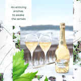 Perrier Jouet Blanc de Blanc Champagne 75cl, imported from the UK
