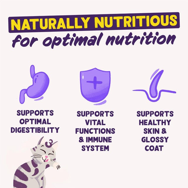 Edgard & Cooper Adult Salmon dry cat food 4kg - British product