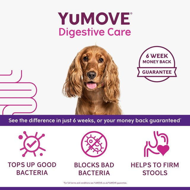 YuMOVE digestive support pre and probiotic for dogs (British brand)