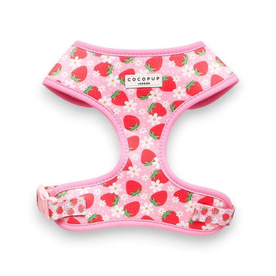 M&S Cocopup London Pupberry Fields Adjustable Dog Harness Medium- Buy online at McGrocer