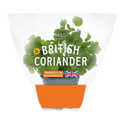 M&S British Coriander Fresh Herb Pot