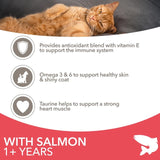 IAMS Adult Dry Cat Food Salmon 3kg, UK version