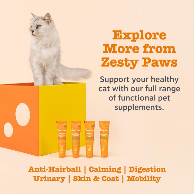 Zesty Paws anti-hairball paste for cats (British brand)