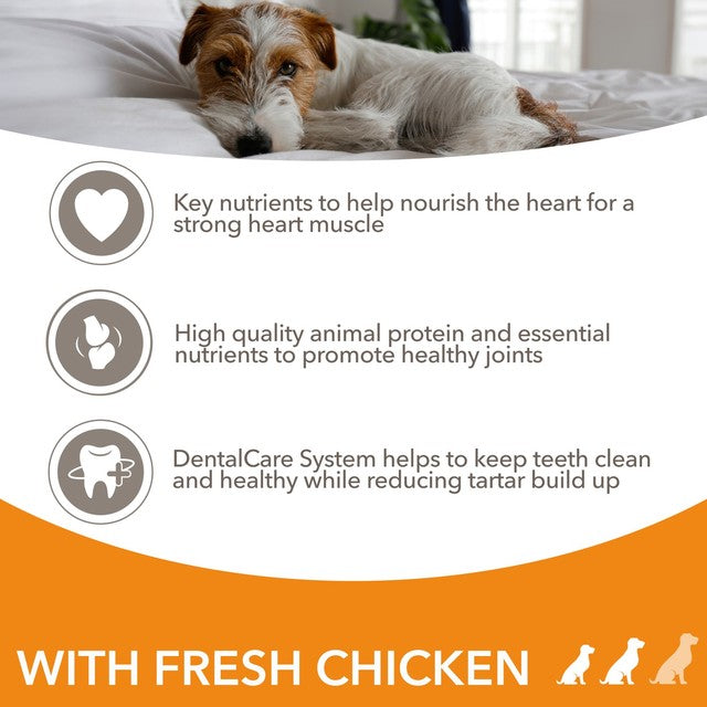 IAMS senior dog food small medium breed chicken, UK version