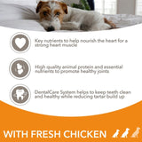 IAMS senior dog food small medium breed chicken, UK version
