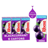 M&S Ribena Blackcurrant No Added Sugar Juice Drink Cartons- Buy online at McGrocer
