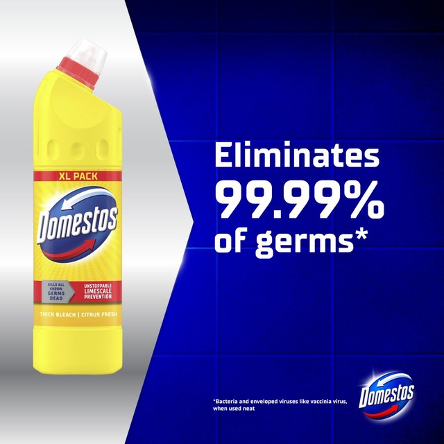 Domestos Citrus Fresh Thick Bleach 1.25L - British product