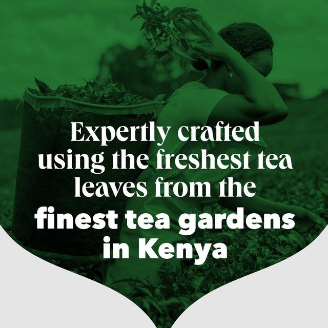PG Tips Original Loose Leaf Black Tea 250g, imported from the UK