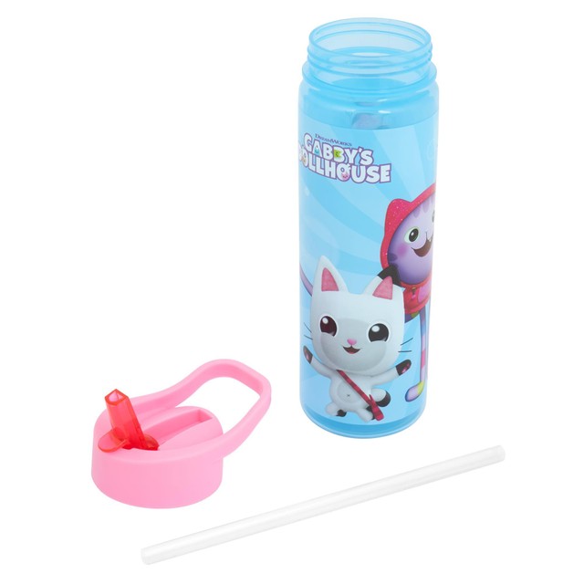Polar Gear Gabby's Dollhouse water bottle 600ml, imported from the UK