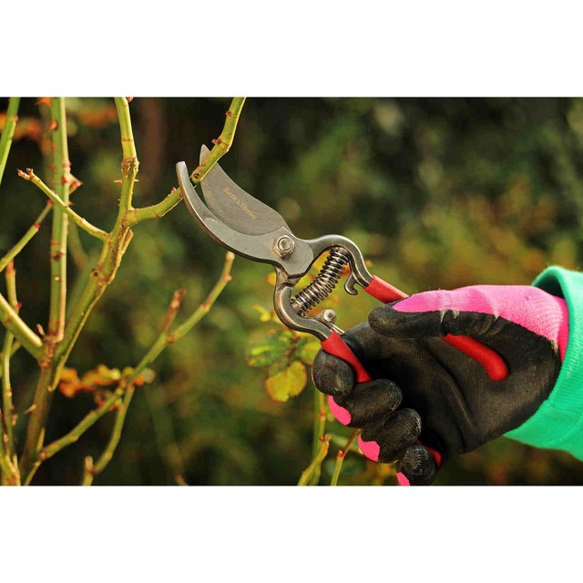 Kent & Stowe Traditional Bypass Secateurs 8 inch, UK version