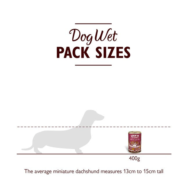 Lily's Kitchen Wild Campfire Stew wet dog food 400g, UK version