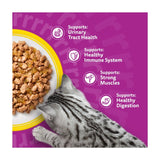 Whiskas wet cat food pouches poultry feasts in jelly 12 x 85g (British brand)