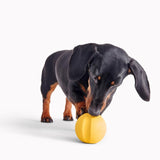 Beco Pets natural rubber fetch ball yellow - British product