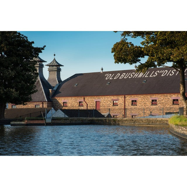 Bushmills 16 Year Old Irish Whiskey - British product