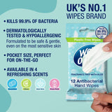 Wet Ones Be Gentle antibacterial wipes pack of 12 (British brand)