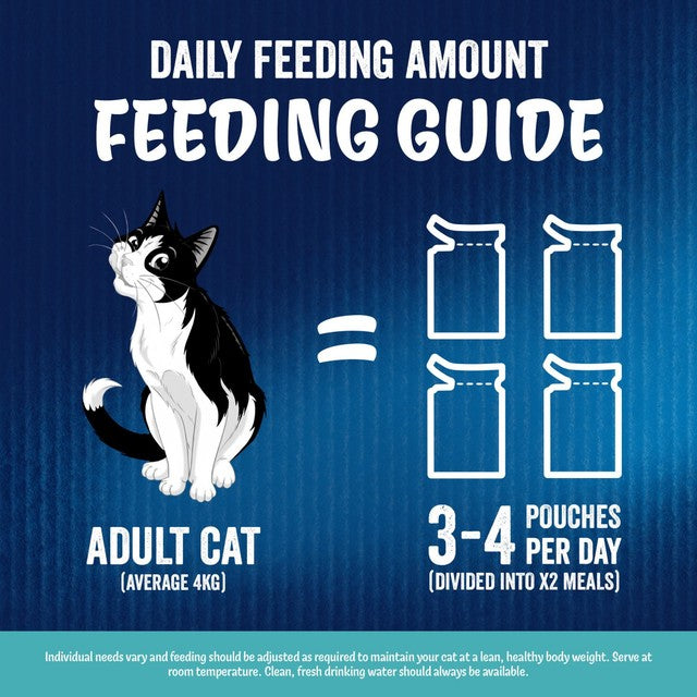 Felix cat food Ocean Feasts 12x85g - British product